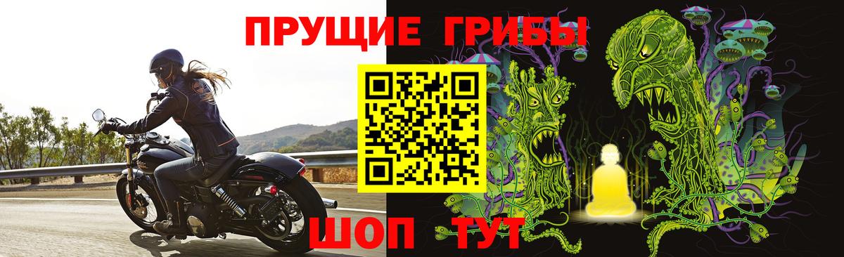 Галлюциногенные грибы Psilocybine cubensis Волоколамск